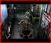 /user/image05.gif