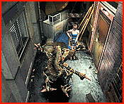 /user/image06.gif