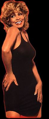 Photo of Tina Turner