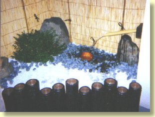 close-up of the garden