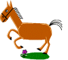 Horse Race