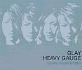 HEAVY GAUGE