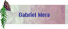 Gabriel Mera