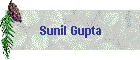 Sunil Gupta