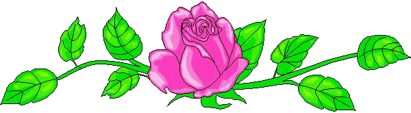 Rose Ribbon
