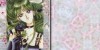 Sailor Pluto