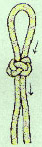 Step 6