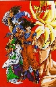 El grupo de los Z- Warriors
