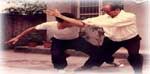 Grandmaster Liu Yun Qiao (3kb)