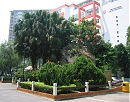 三聖廟旁巨石