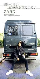 ZARDcds.jpg (15034 bytes)