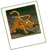 spike_snap.gif (10276 bytes)