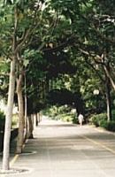 ٪L콮