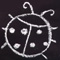 ]  LADYBUG