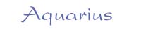 Aquarius (January 21~ February 18)