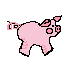 Piggy