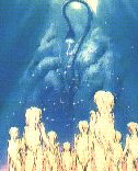 Aliens and Makaiju