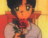 A rose for Fiore