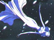 floating Snow Dancer