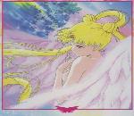 sailor7.jpg