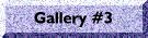 Image Gallery 3