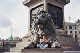 jim_lion_front