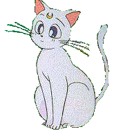 The loyal cat