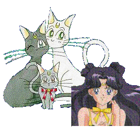 Family cat & Princess Kaguya