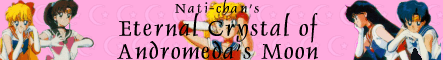Inner Senshi Banner