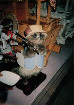 Huntin' raccoon with shotgun