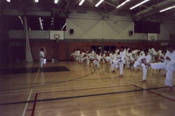 Master Okazaki