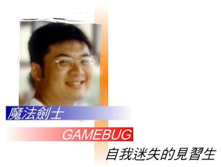 s_gamebug.JPG (8829 bytes)