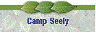 Camp Seely