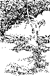 stree2.gif (1686 bytes)