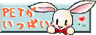 --- Petς ---