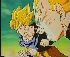 Clic here to see the picture (gokouvegeta.jpg)