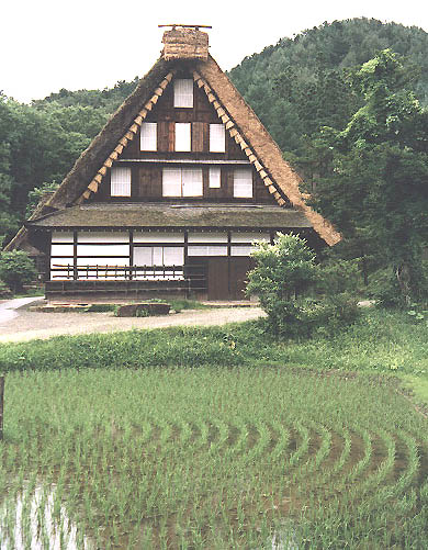 Nishiokas house
