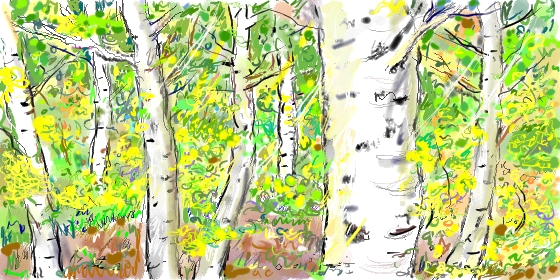 7 Aspens �C�ʥշ���