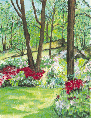 garden.gif (110007 bytes)
