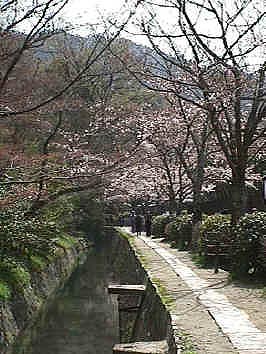 Path