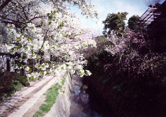 Path2