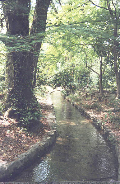 Kyoto Botanical Garden