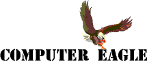 Computer Eagle