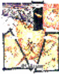 Page 06
