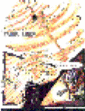 Page 07
