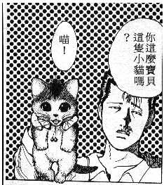 O gatinho de Kuwabara