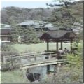 Tsuruma Times Keitai Image 6