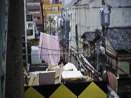 maruyama.jpg