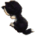 kitty
