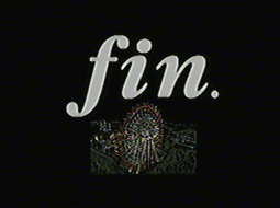 fin